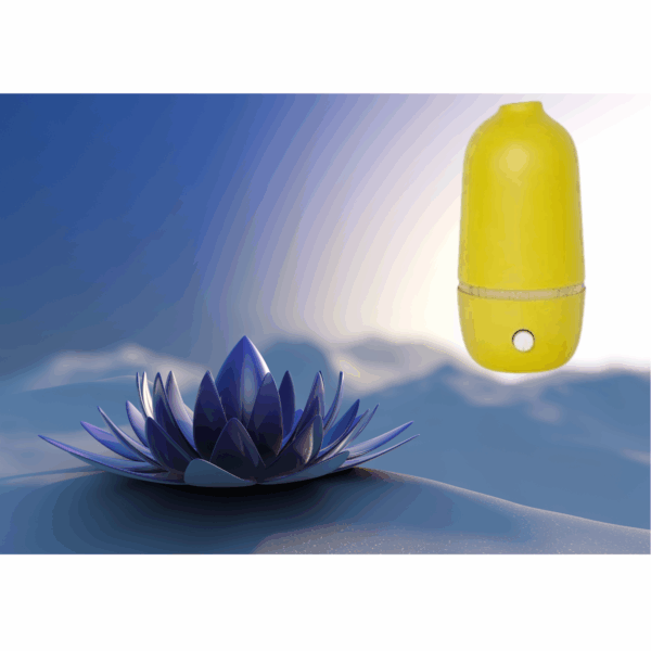 Diffuseur d'Huiles Essentielles - BO – Image 2