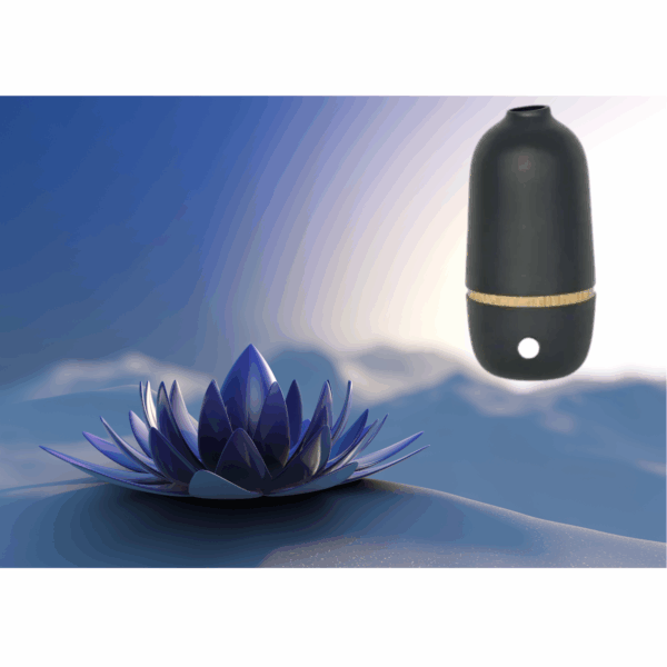Diffuseur d'Huiles Essentielles - BO